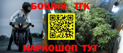 МДПВ Гагарин