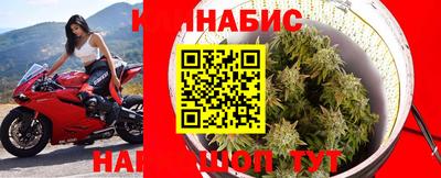 МДПВ Гагарин