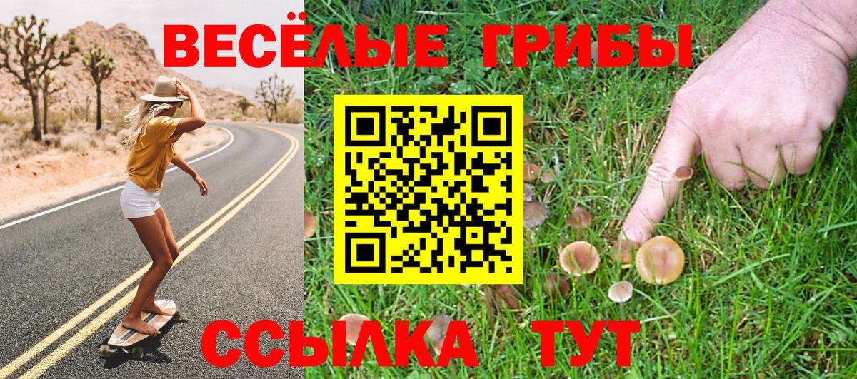 Псилоцибиновые грибы прущие грибы Бутурлиновка